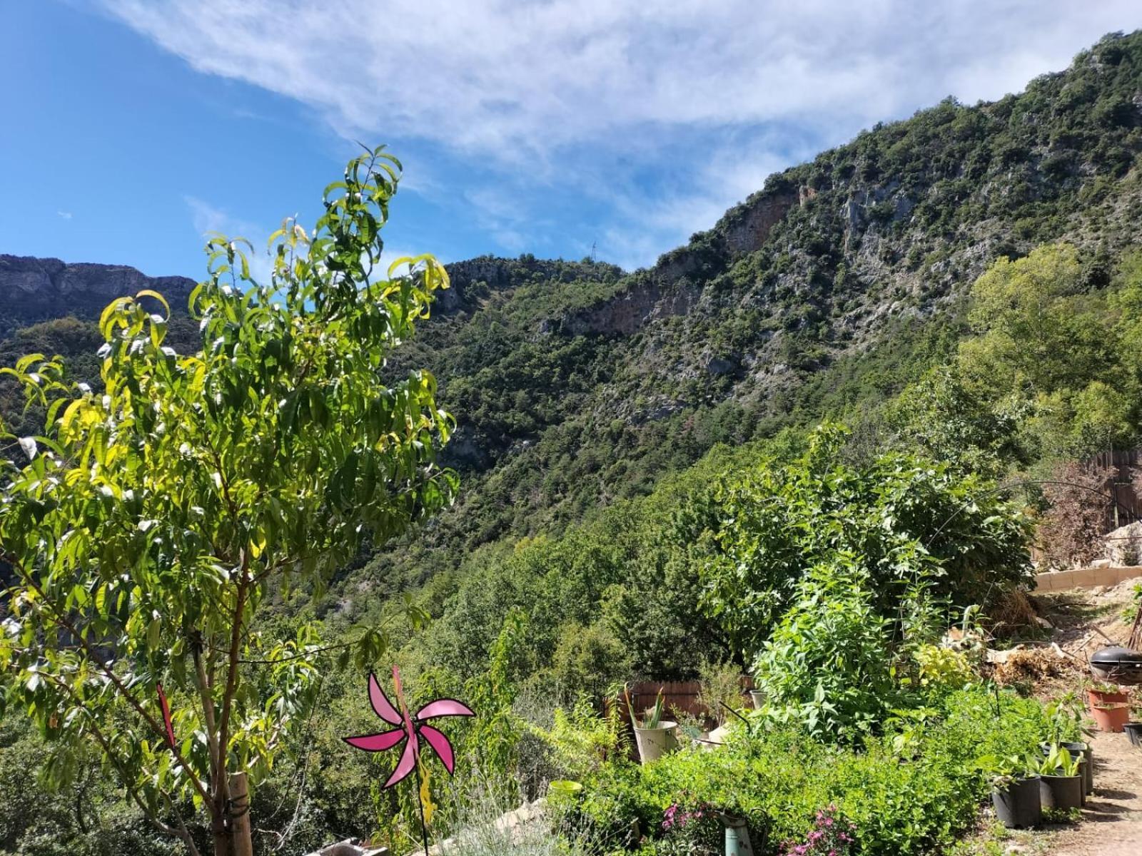 La Gruppio Bed and Breakfast Ilonse Εξωτερικό φωτογραφία